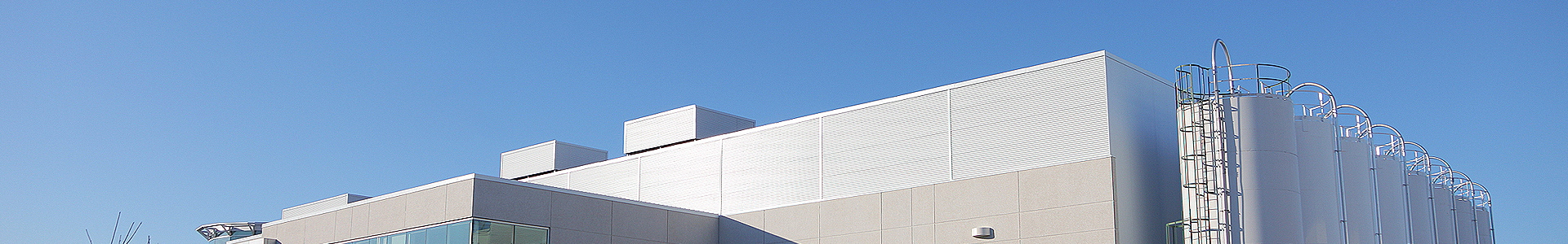 Company Profile